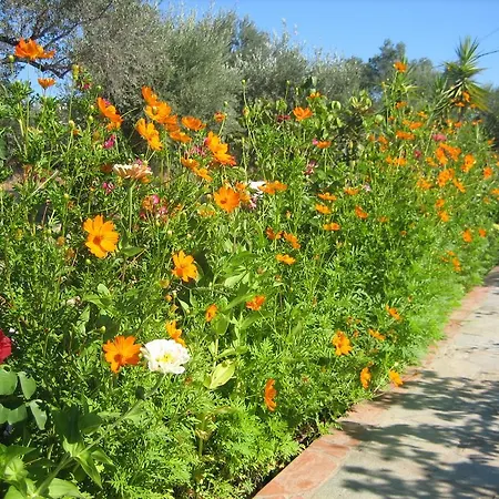 Ktima Ellopia * Kolymbia