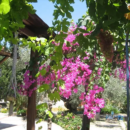 Holiday home Ktima Ellopia *