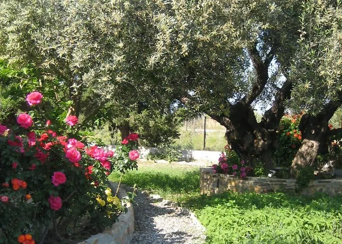 Ktima Ellopia Kolymbia