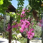 Case de vacanță Ktima Ellopia *