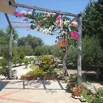 Ktima Ellopia