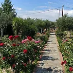 Case de vacanță Ktima Ellopia