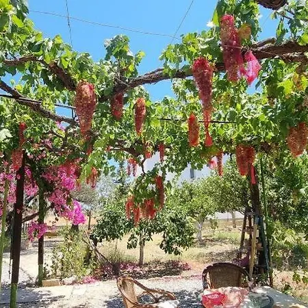 Casa de Férias Ktima Ellopia