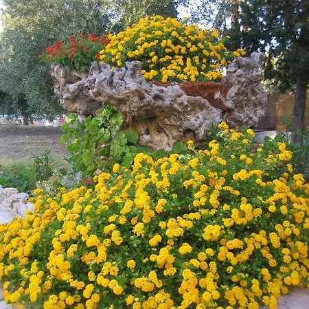 Casa de Férias Ktima Ellopia *