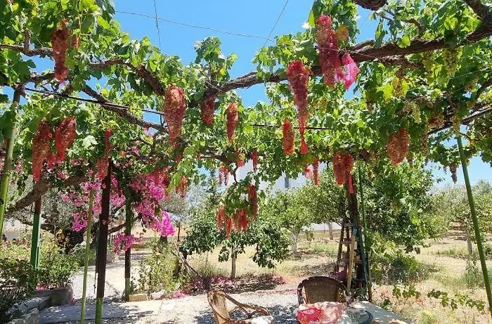 Casa de Férias Ktima Ellopia