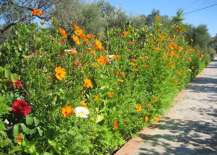 Ktima Ellopia * Kolymbia