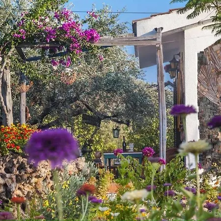 Ktima Ellopia Kolymbia