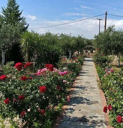 Ferienhaus Ktima Ellopia