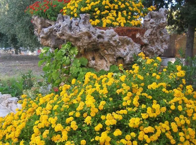 펜션 Ktima Ellopia *