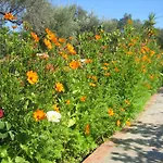 Ktima Ellopia * Kolymbia