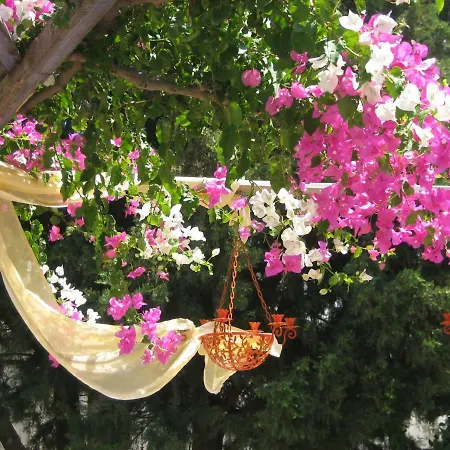 Ktima Ellopia * Колимбия