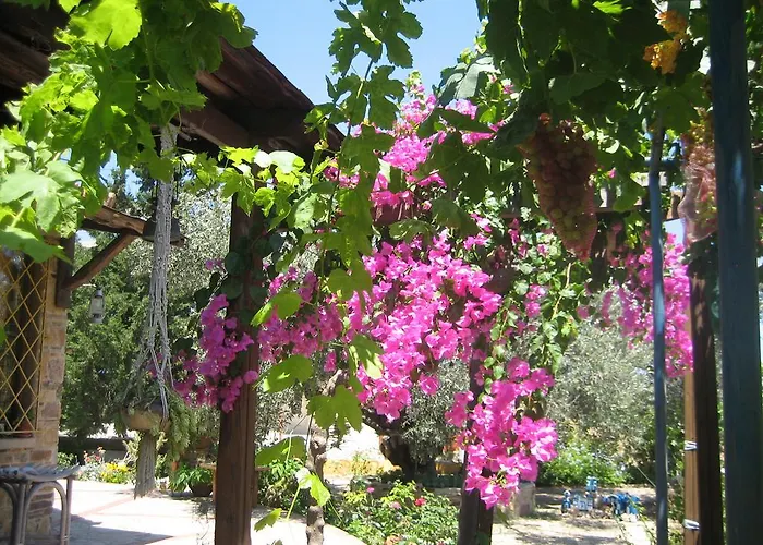 Holiday home Ktima Ellopia *